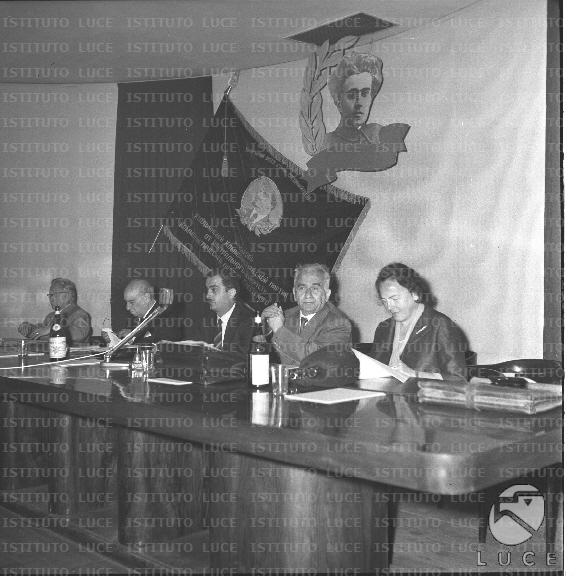 FV/NTH00742/FV00161089.JPG