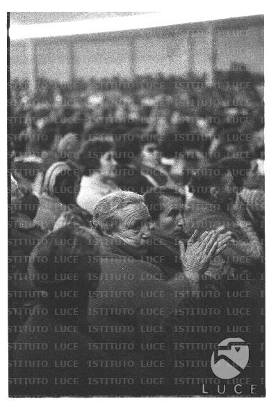 FV/NTH00745/FV00161798.JPG