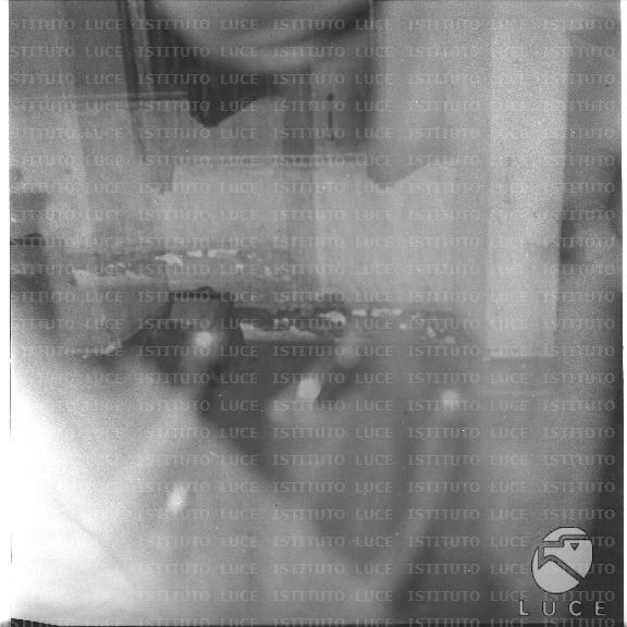 FV/NTH00747/FV00162165.JPG