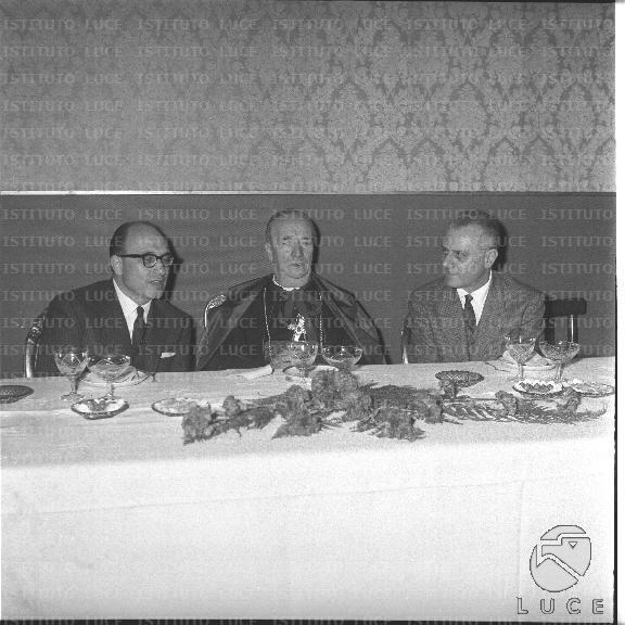 FV/NTH00752/FV00163266.JPG