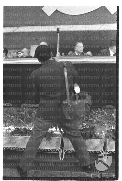 FV/NTH00753/FV00163479.JPG