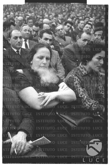 FV/NTH00755/FV00163780.JPG