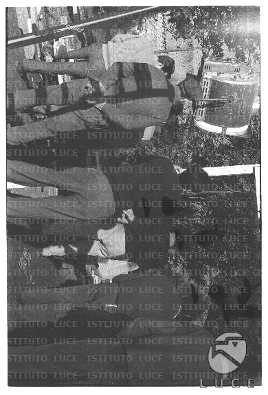 FV/NTH00755/FV00163830.JPG