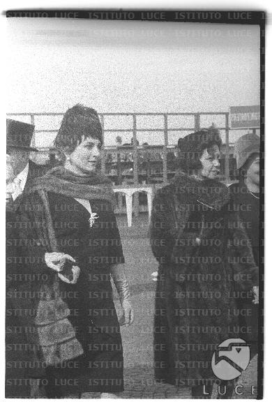 FV/NTH00759/FV00164627.JPG