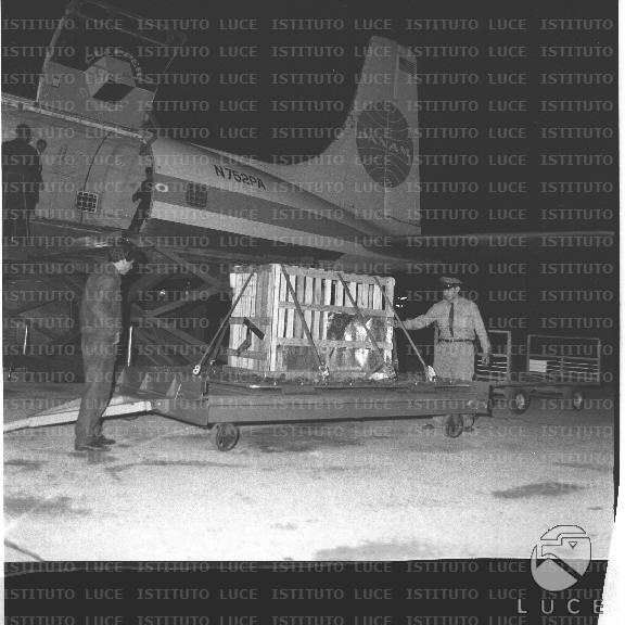 FV2/NTH00775/FV00167923.JPG
