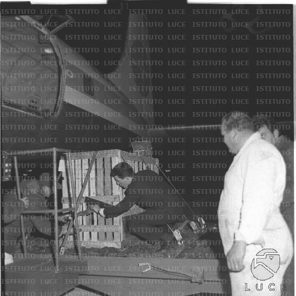 FV2/NTH00775/FV00167935.JPG