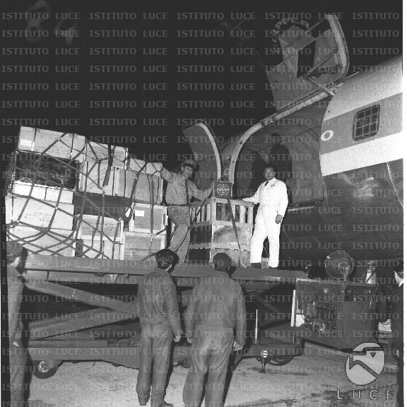 FV2/NTH00775/FV00167941.JPG
