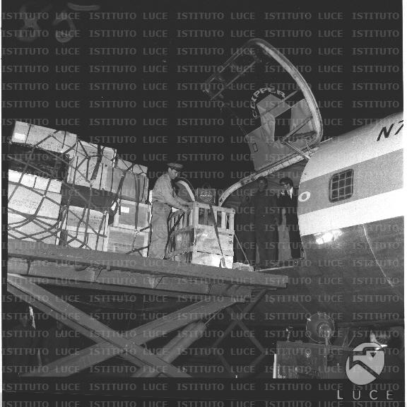 FV2/NTH00775/FV00167948.JPG
