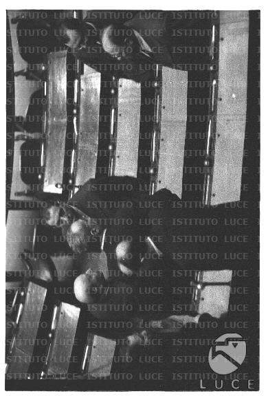 FV2/NTH00780/FV00168989.JPG
