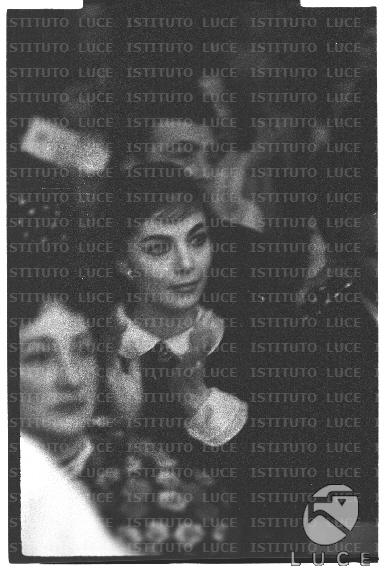 FV2/NTH00796/FV00172193.JPG