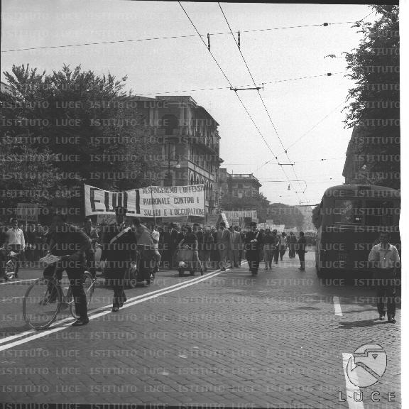 FV2/NTH00796/FV00172265.JPG