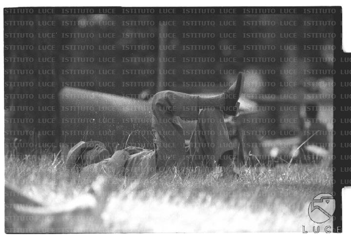 FV2/NTH00801/FV00173237.JPG