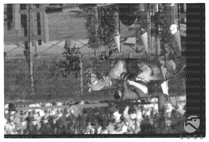FV2/NTH00801/FV00173305.JPG