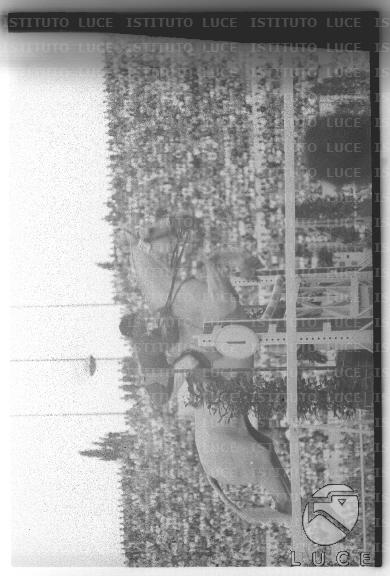 FV2/NTH00801/FV00173306.JPG