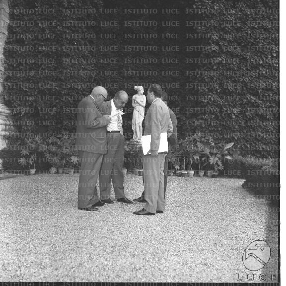 FV2/NTH00804/FV00173793.JPG