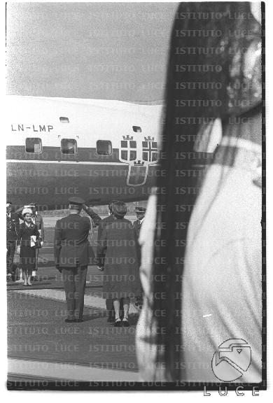 FV2/NTH00804/FV00173887.JPG