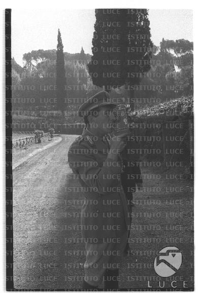 FV2/NTH00805/FV00174040.JPG