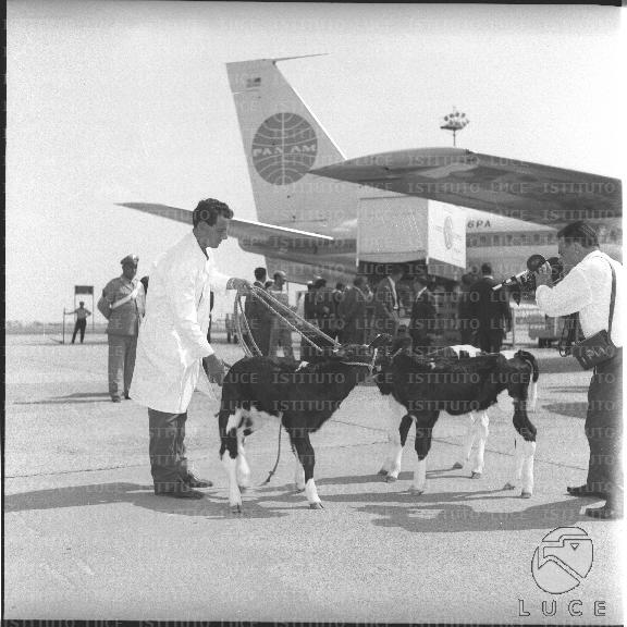 FV2/NTH00809/FV00174843.JPG