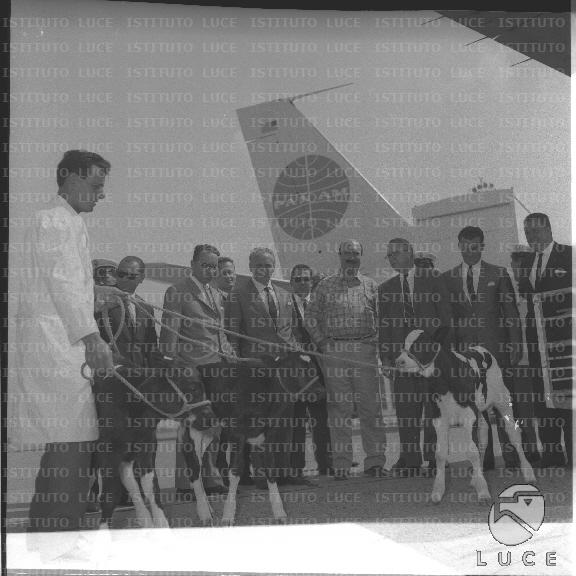 FV2/NTH00809/FV00174941.JPG FV2/NTH00809/FV00174941.JPG