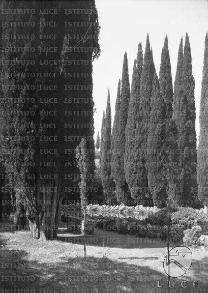 L/L012/L00000607.JPG