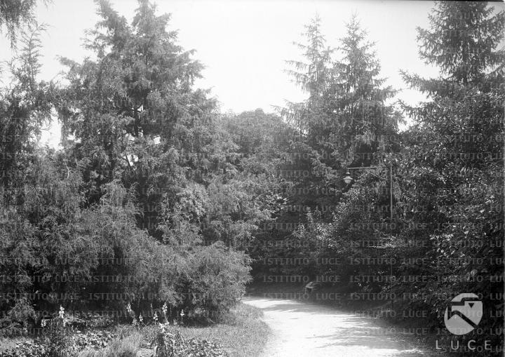 L/L067/L00004571.JPG