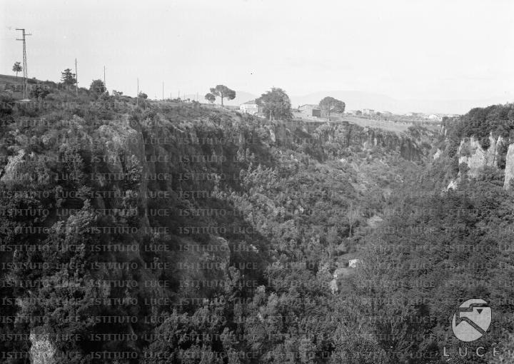 L/L114/L00007088.JPG