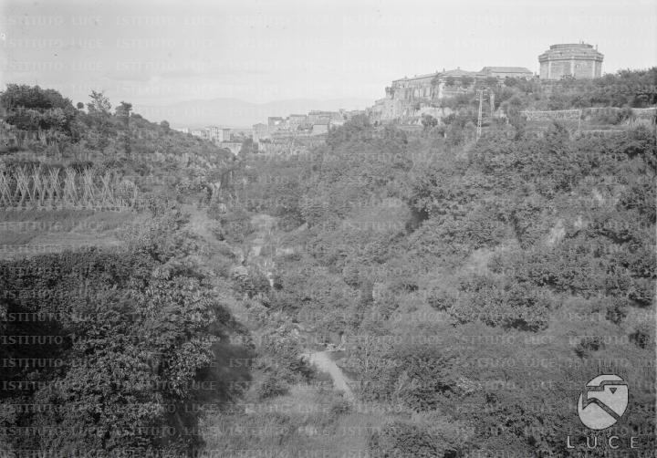 L/L114/L00007089.JPG