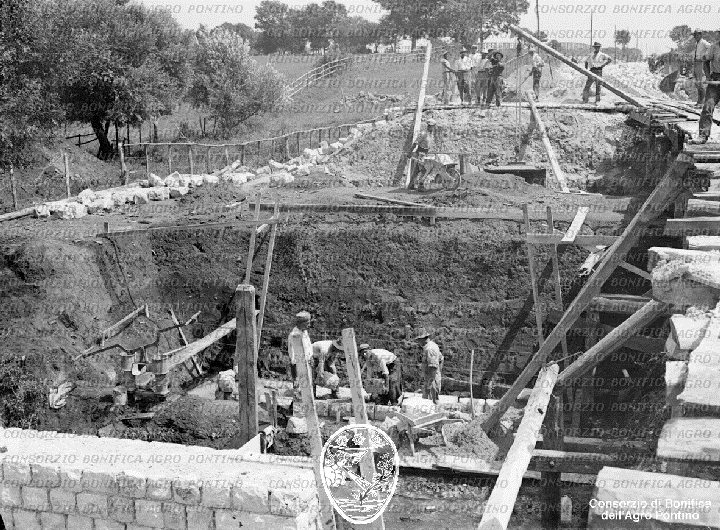 PONTINO/BOR000259.jpg