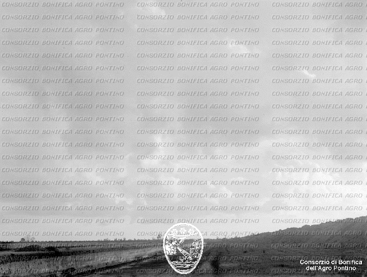 PONTINO/BOR000294.jpg