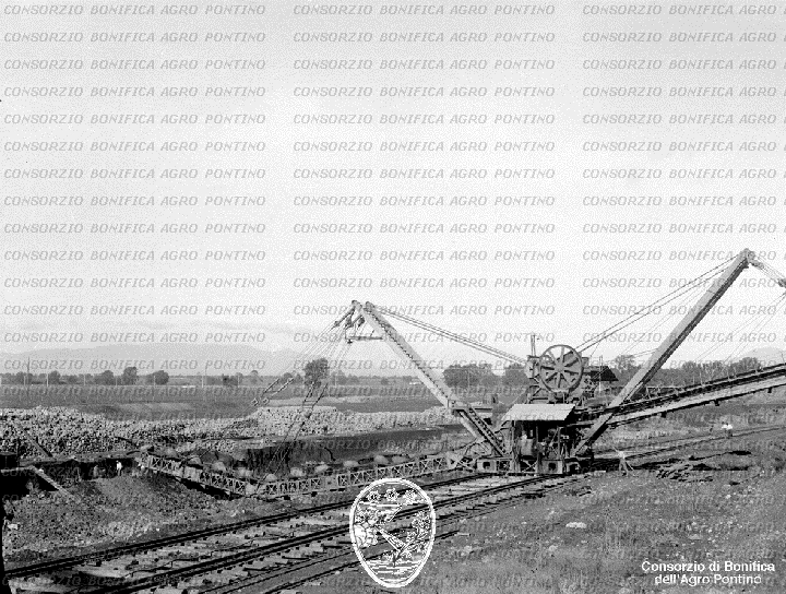 PONTINO/BOR000318.jpg