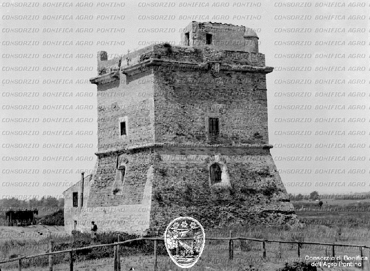 PONTINO/BOR000369.jpg