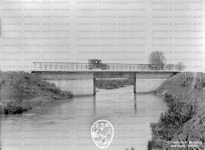 PONTINO/BOR000382.jpg