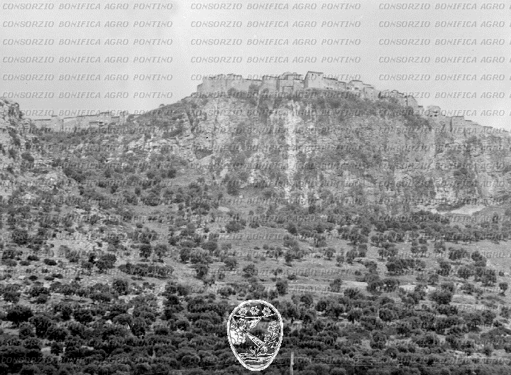 PONTINO/BOR000411.jpg