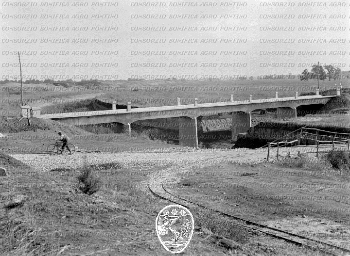 PONTINO/BOR000420.jpg