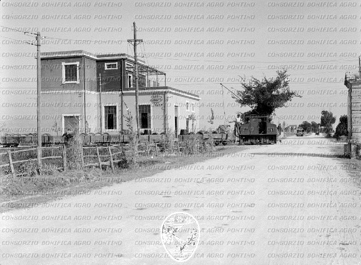 PONTINO/BOR000447.jpg