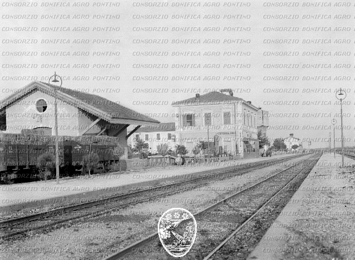 PONTINO/BOR000448.jpg