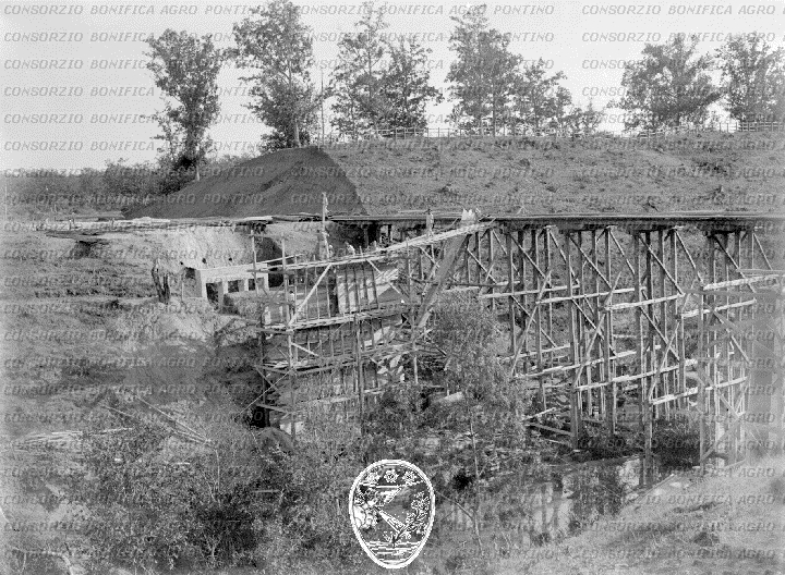 PONTINO/BOR000454.jpg