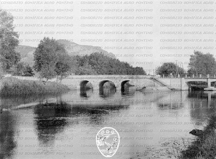 PONTINO/BOR000457.jpg
