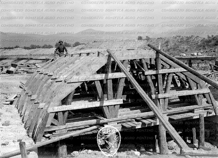 PONTINO/BOR000459.jpg