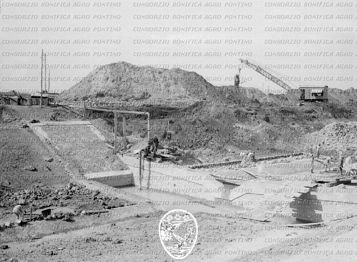 PONTINO/BOR000461.jpg