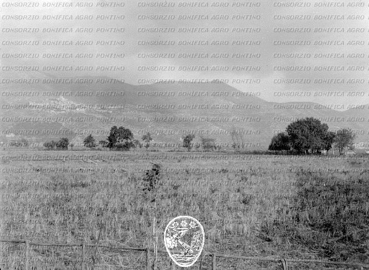 PONTINO/BOR000484.jpg