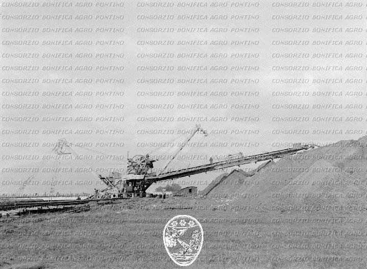 PONTINO/BOR000492.jpg