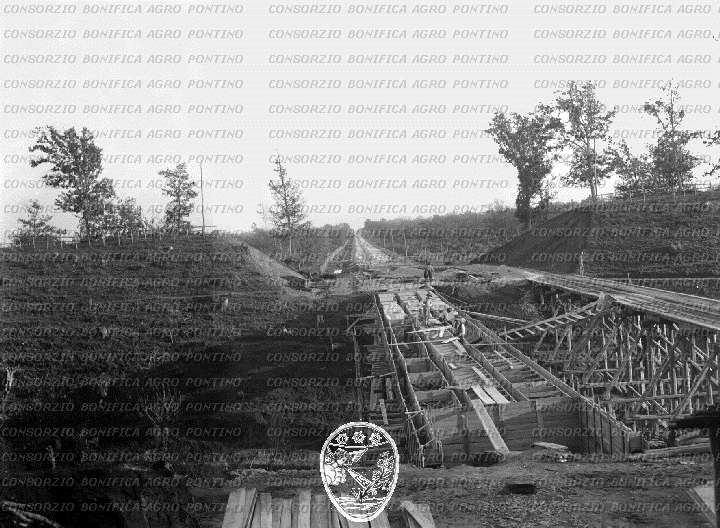 PONTINO/BOR000529.jpg