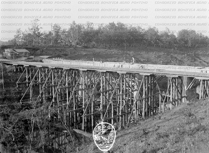 PONTINO/BOR000530.jpg