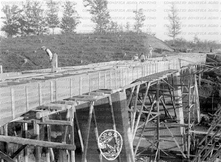 PONTINO/BOR000531.jpg