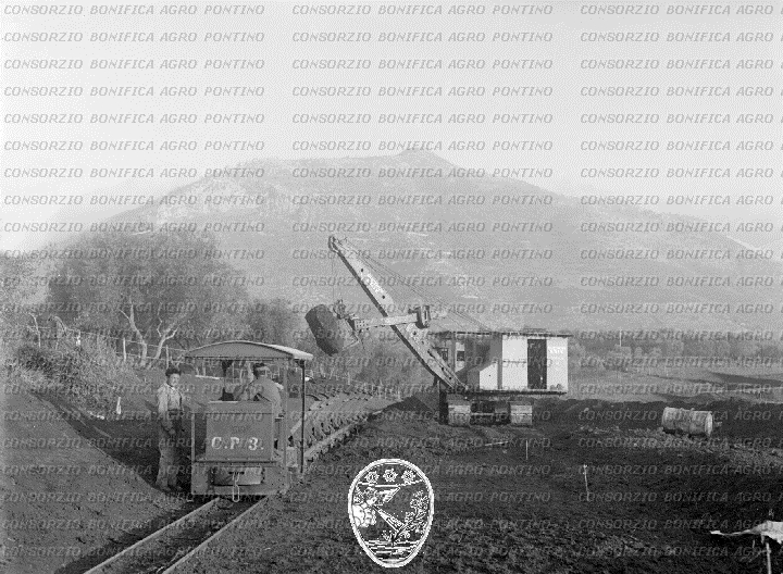 PONTINO/BOR000541.jpg