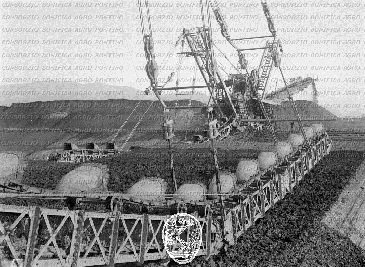 PONTINO/BOR000547.jpg