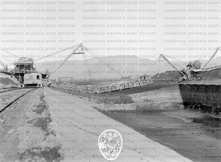 PONTINO/BOR000550.jpg