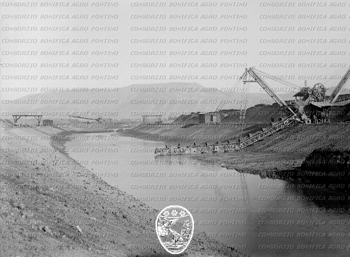 PONTINO/BOR000554.jpg