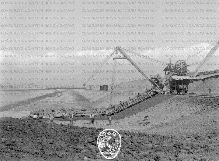 PONTINO/BOR000558.jpg